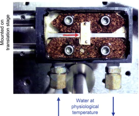 Figure  2-3:  Temperature-controlled  specimen  mount.