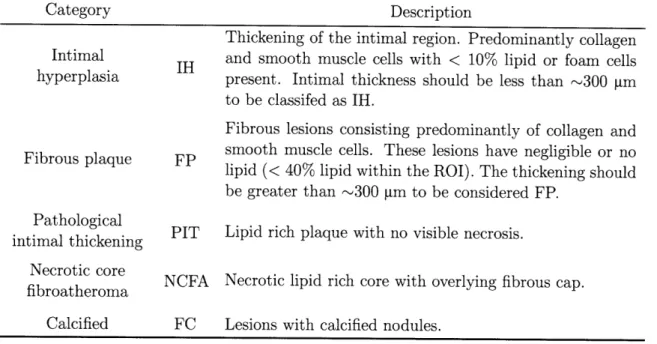 Table  2.1:  Histological  classification  scheme  used  for  the  database.  This  scheme  is  adapted from  [11].