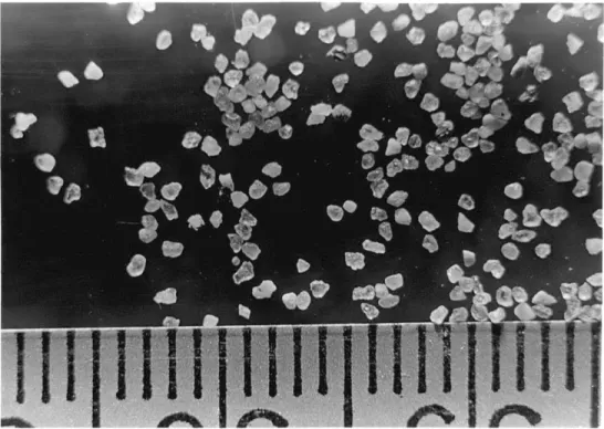 Fig.  2.4a.  Photograph of  sample  of  0.51  mm sand  (series A)