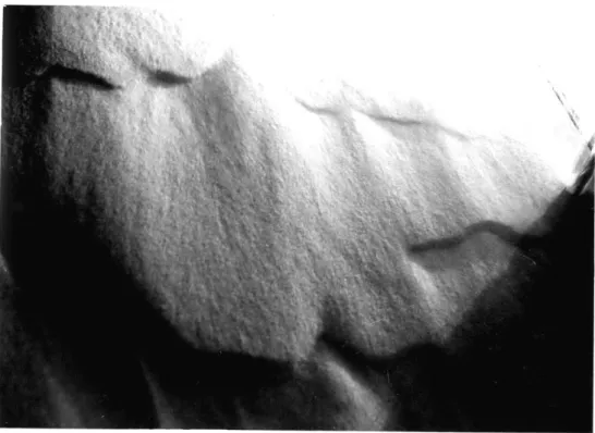 Fig.  3.4. Migration  of  small  sediment waves  on  a flat bed (Run C-3,  D =  0.66 mm  ,  flow  from  top  to bottom).