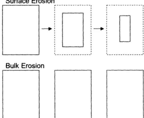 Figure  19 Schematic representation of the differences between surface erosion and bulk erosion.31