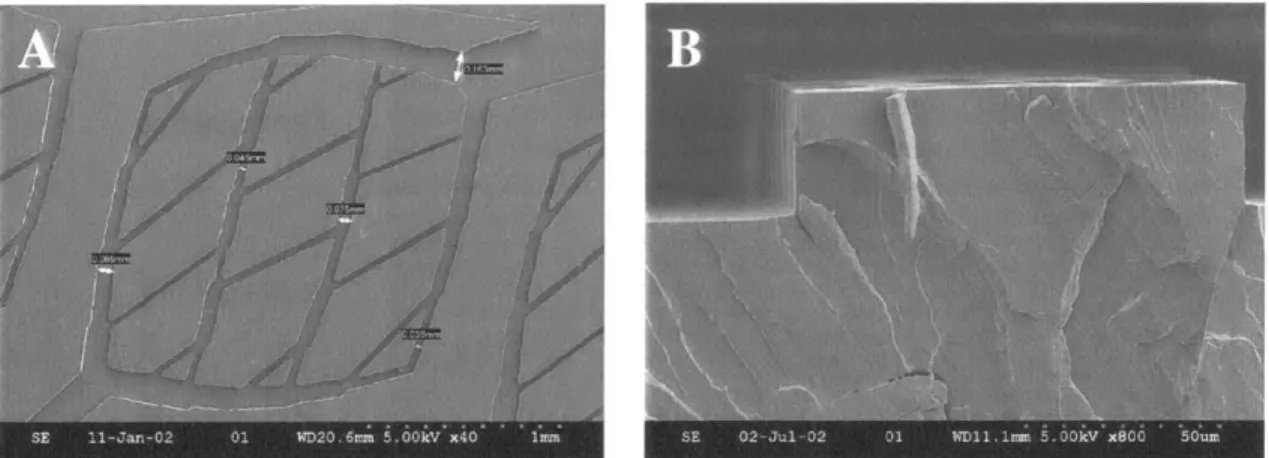Figure  2.12 A)  Melt  micromolded complex  networks  of recessed channels.  Films  have