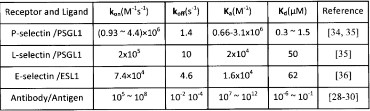 Table  1-1  Kinetics  and affinity  of selectin-ligand  and antibody-antigen  interactions