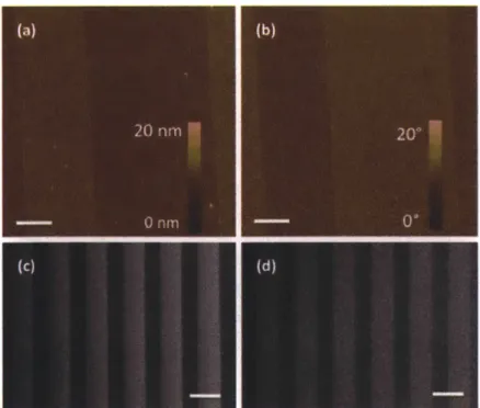 Figure  3-3  Characterization  of  P-selectin  patterned substrates.  AFM  images  of  10 [tm  wide  P-selectin  lines  separated  by  15  ptm  wide  PEG  bands  (after  step  2),  displaying