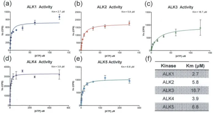 Figure 3.4. Km determinations  for (a)  ALKI,  (b)  ALK2,  (c) ALK3,  (d)  ALK4, Summary  of Km  values for BMP  and TGF-0  type I  receptor kinases.