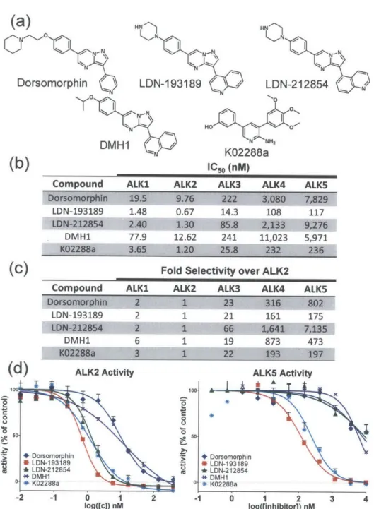 Figure  4.2.  Potency  and  selectivity  of BMP  inhibitors  based  on  in  vitro kinase  assay