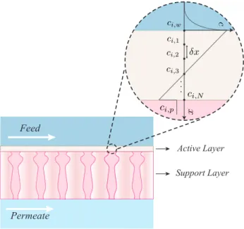 Figure 2-1: Modeling chemical transport through a NF membrane: The variables 
