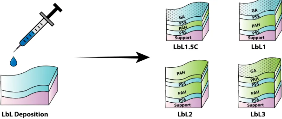 Figure 2-3: Schematic of the LbL deposition procedure and membranes fabricated (not to scale).