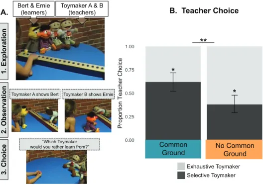 Figure 1. (A) Stimuli and procedures for Experiment 1. During exploration, children first explored the blue and green toys, either in the presence (common-ground) or absence (no-common-ground) of the puppets