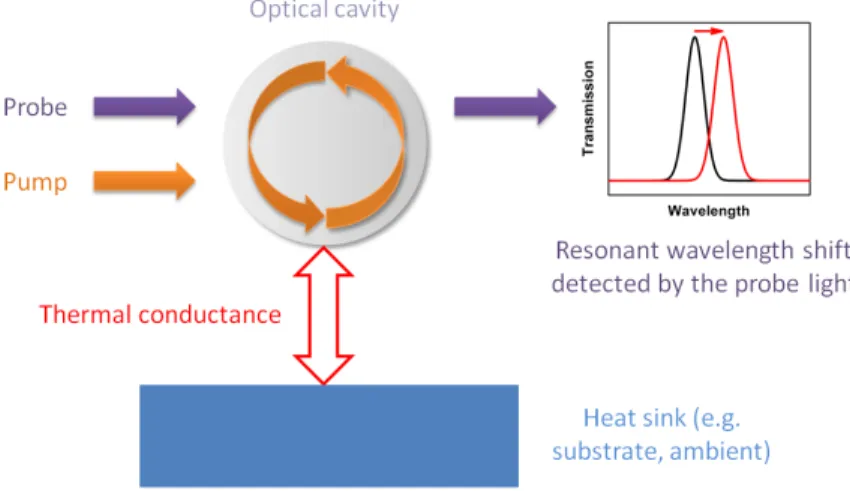 Figure 7. Illustration of the generic configuration of a micro-cavity device for MC-PTS