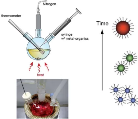 Figure 2-3: Schematics of colloidal QD synthesis setup. Adapted from ref.  49