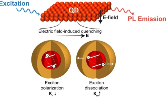 Figure 3-1: Schematic (top) of photo-excited QD thin film with an electric field applied across  the QD thin film, and pictures (bottom) illustrate electric field-induced exciton polarization and  dissociation processes