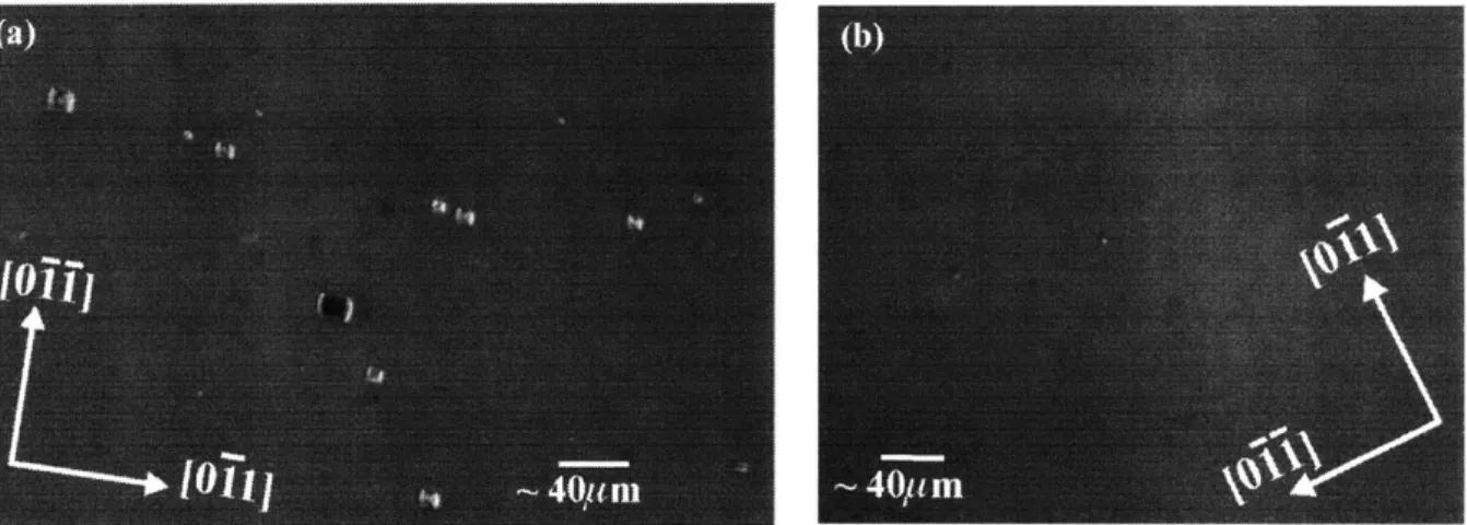Figure  2.6  (a)  Nomarski microscopy  image  (200x  magnification)  of -2  pm InP (lightly  Si-doped)  deposited on  an InP  substrate