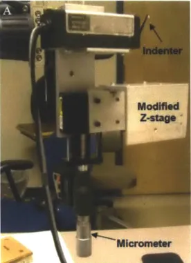 Figure  2.2  Position  Calibration  of  the  indenter  (A)  shows  the  setup  used  to  determine  the  position  calibration constant (B)  shows  calibration plot of the  measured  voltage  vs