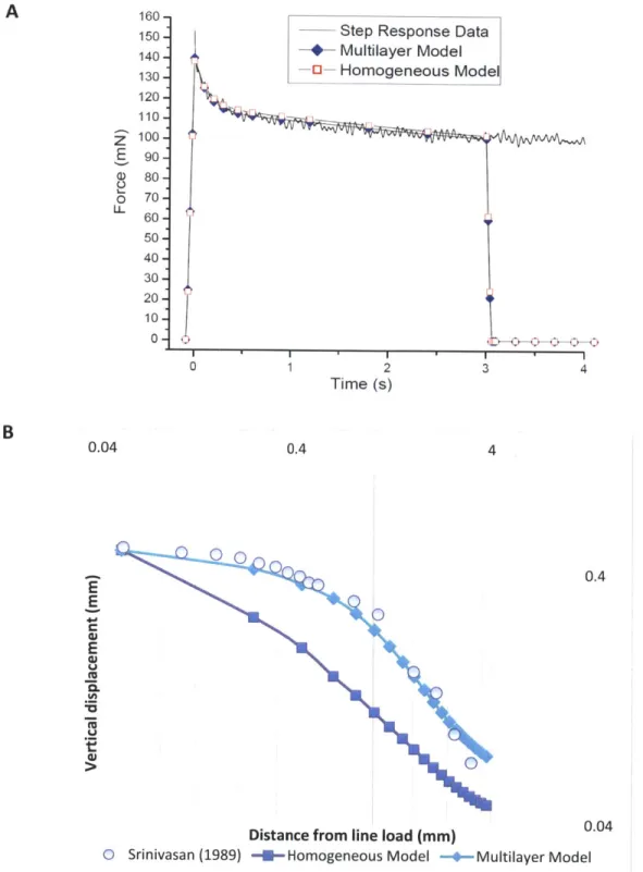 Figure  2.13  (A)  shows  the  calibration  curve used  to estimate  the  viscoelastic  properties  of the primate  finger model.