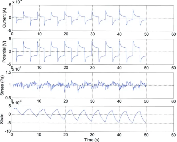 Figure  3-24.  Active  testing  results are  shown  from  a typical trial  under isotonic testing  of one of the  actuator configurations  (helix insert).