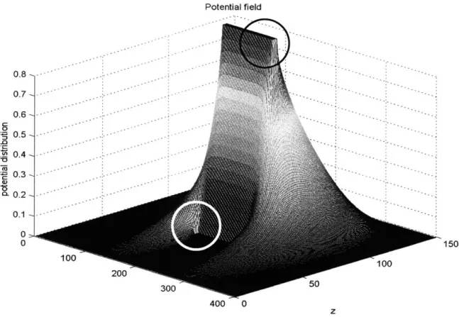 Figure 20: Potential  field over the x-z plane. One edge of each electrode is highlighted.