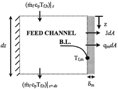 Figure  2-1:  The  feed  (hot)  side  of  any  MD  configuration  with  heat  and  mass  fluxes labeled.