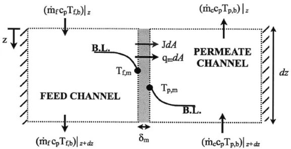 Figure  2-3  shows  a  control  volume  for  one  cell  of  length  dz.