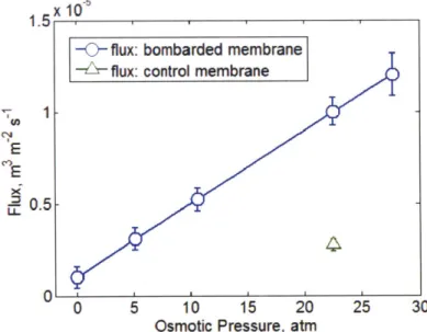 Figure  3.  4.  Calculated  water  flux  across  the  graphene  membrane  against  the corresponding  osmotic pressure  gradient.