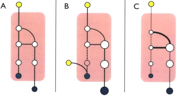 Figure 1-1|  The  zero  sum  challenges with traditional pathway  optimization strategies.