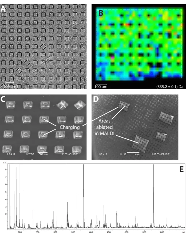 Figure 7. MALDI imaging of a plastic chip coated with gold. (A) Transmitted light image of a block of  wells soft-embossed in COP
