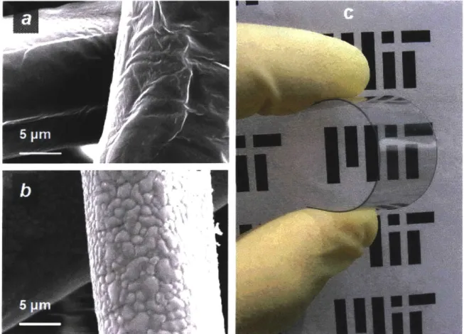 Figure 2-2:  Compatibility of oCVD  with various substrates  is shown  :- (a) SEM  image of an uncoated paper towel  fiber