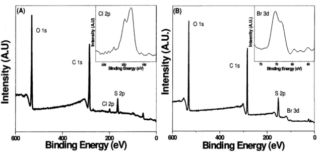 Figure 2-6:  XPS  survey  scan  of oCVD  PEDOT  deposited  using  (A)  Iron Chloride  (B)  Bromine as  the oxidant  showing  characteristic  elements