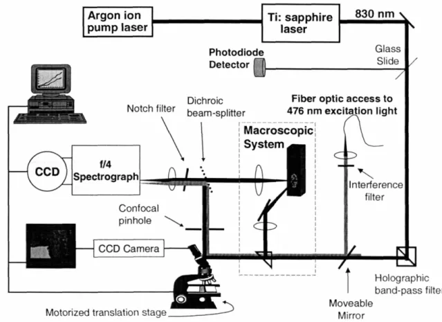 Figure 111.8. Schematic of the laboratory Raman system.