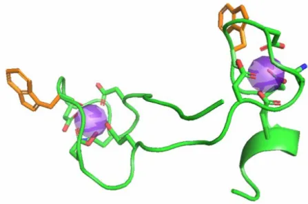 Figure 5-1.  Structure of the dLBT portion of the crystal of GPGdSE3-ubiquitin (from PDB# 2OJR) 1 