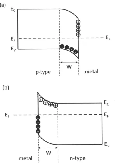 Figure  2-5.  Energy  band diagrams  of Schottky junctions  formed  between  (a)  a  metal  and  a  p-type semiconductor  and  (b)  a metal  and an  n-type  semiconductor  at  thermal  equilibrium.