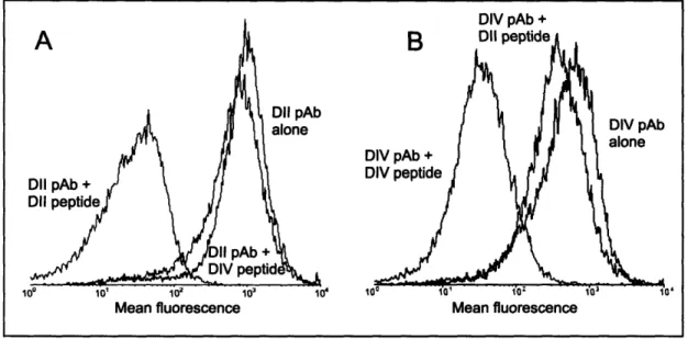 Figure  11.2  - Specificity of rabbit polyclonal antibodies. The  specificity of anti-Dil  (A) and  anti- anti-DIV  (B) antibodies  was tested  by competition  binding experiments