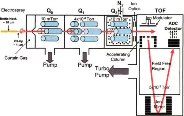Figure  1.5 - Schematic of a QSTAR instrument. The  red line  represents the  ions path from  the ESI  to the detector