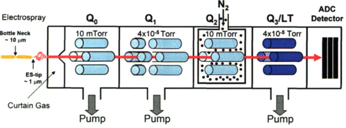 Figure  1.7 - Schematic of a QTRAP  instrument. The red  line  represents the  ions path from  the ESI  to the detector