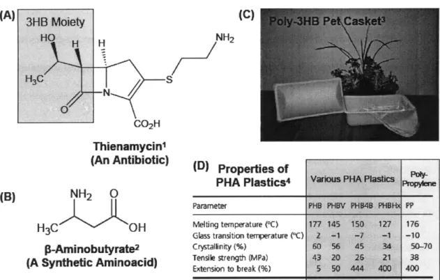 Figure  1.1:  Applications  of hydroxyacids  for  the  synthesis  of antibiotics  (A),  synthetic  aminoacids  (B), and plastics  (C  and  D).