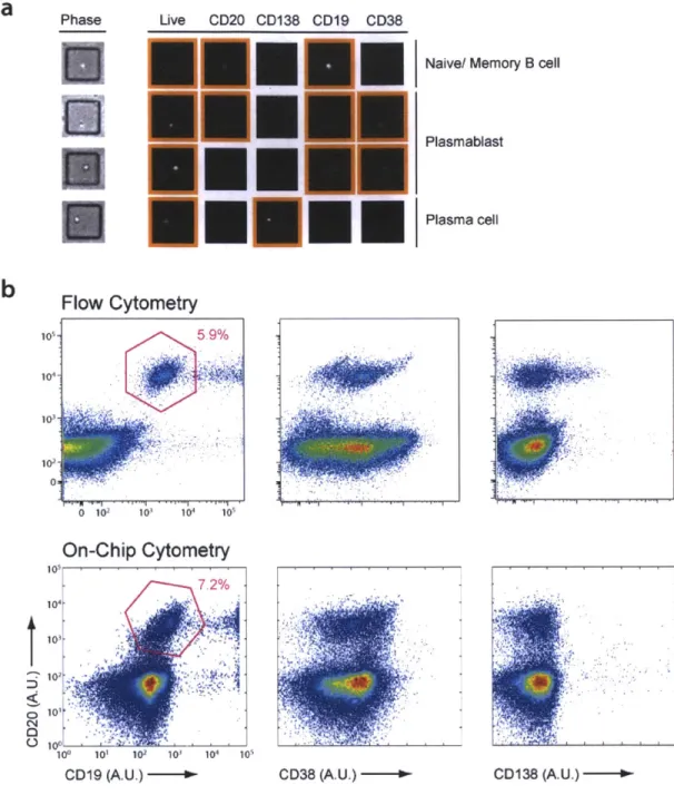 Figure 3.3:  Comparison  of on-chip  cytometry  and flow  cytometry.
