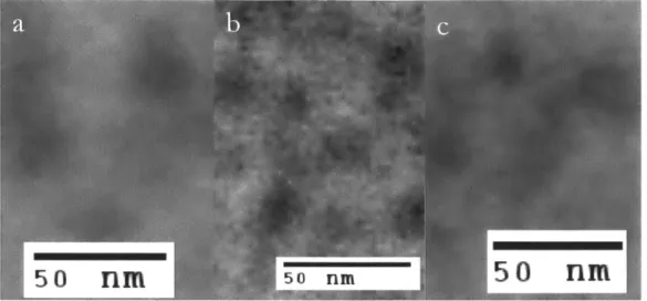 Figure  5.  Zoomed  in  sections from  Figure  4 showing  the  size  of stained  spots.