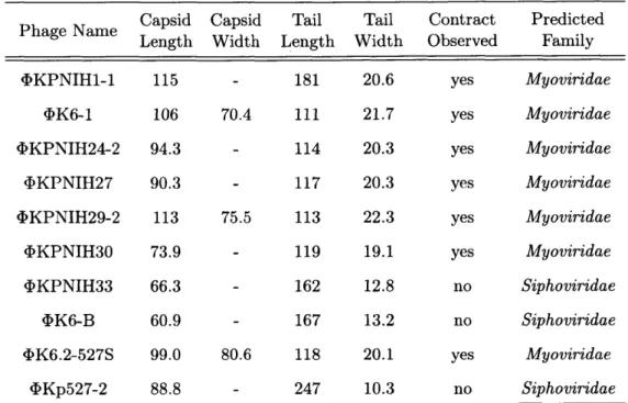 Table  2.2:  TEM  morphological  characterization:  Ten  bacteriophage  isolates were  subjected  to visualization  via  transmission  electron  microscopy  (TEM)  to  deter-mine  morphological  characteristics