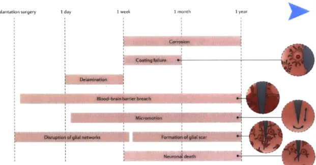 Fig.  1.3:  Failure  modes  of  neural probes