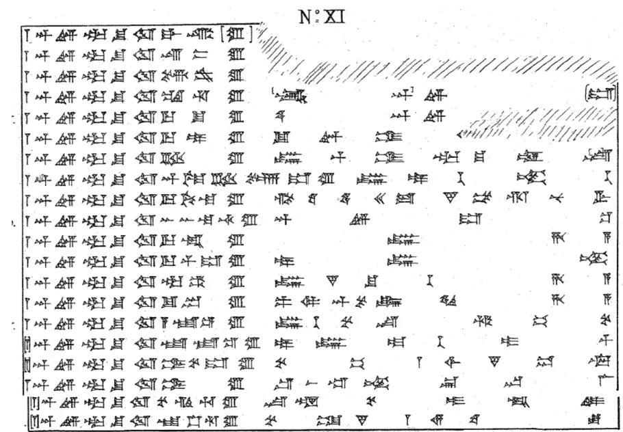 Figure 5 : ACh Adad XI (copie Virolleaud). 