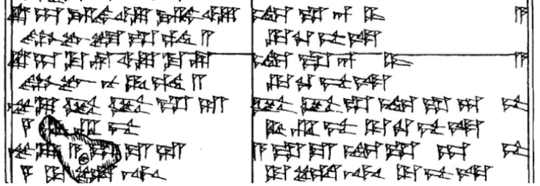Figure 3 : SBH 13, l.12-19 (copie Reisner). 