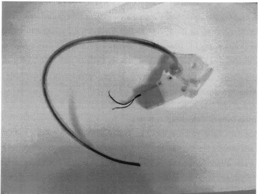 Figure  10: The flexible  shaft  sketch model.  The inner  drive tube  can be  seen  inside the translucent outer tube