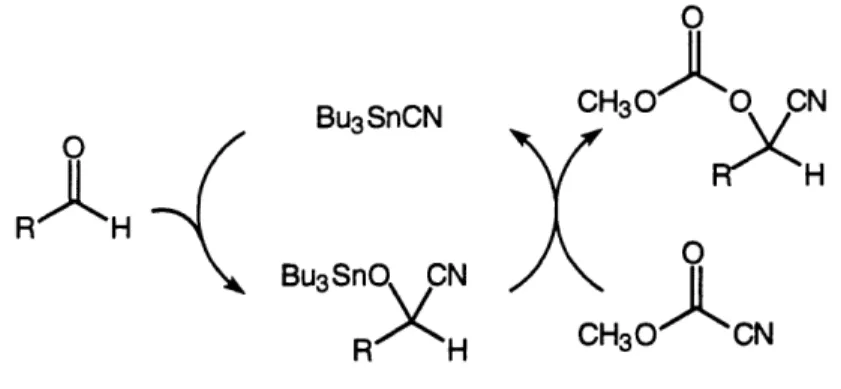 Table 1: Bu3SnCN-catalyzed cyanoacylation of aldehydes  by YCOCN