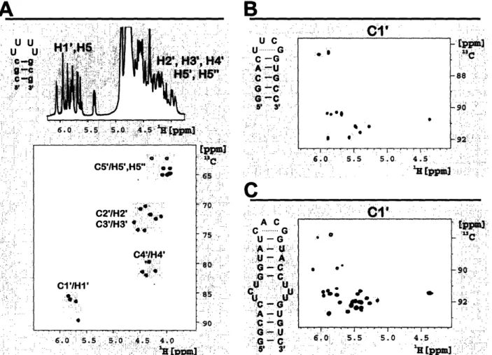 Figure 5: 1D prnm spenn  ad  (t)  'H,  1CI  (t  qfd'  e  risbe  ram  ties  f  a 10-nt hapn  ith sdect