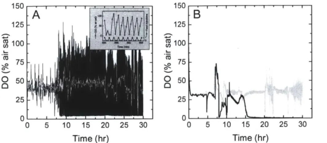 Figure  2-5.  Dissolved oxygen  profiles  from  representative  microbioreactor and  bench-scale  bioreactor cultures.