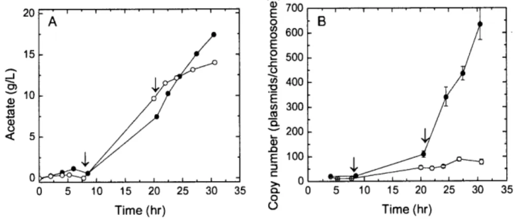 Figure  2-8.  (A)  Acetate and  (B) plasmid  copy number  profiles from  fed-batch  bioreactor  cultures  with (0)  and without  (0)  a pH  downshift from 7.1  to 6.0  at t = 20 hr
