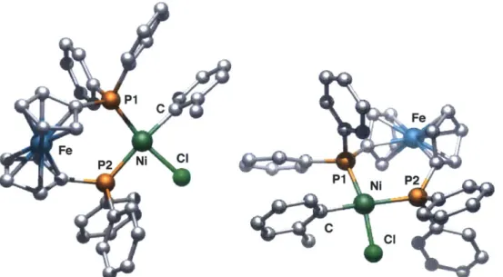 Figure  1.  X-ray  crystal  structure  of  (dppf)Ni(o-tolyl)CI  (2)  (representation  from  two