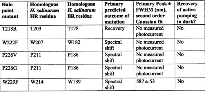 Table 21 Action spectrum  and spontaneous  recovery to active pumping  state in the dark for N