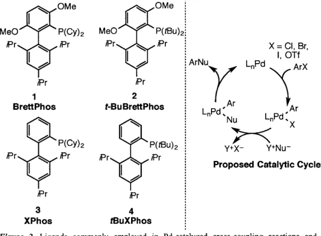 Figure  2.  Ligands  commonly  employed  in  Pd-catalyzed  cross-coupling  reactions  and  the proposed  catalytic  cycle.