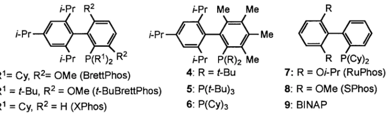 Figure 1.  Various ligands  commonly  employed  in Pd-catalyzed  cross-coupling  reactions